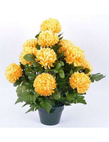 POT D14 CHRYSANTHEME BOULE X14 + FOUGERES ASSORTI