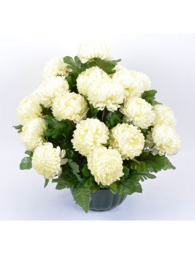 H21 CHRYSANTHEME BOULE X14 (2 piquets) ASSORTI