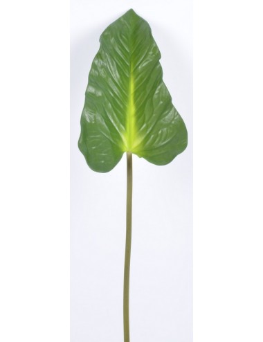 FEUILLE ANTHURIUM