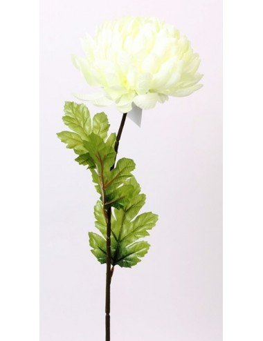 CHRYSANTHEME BOULE PM