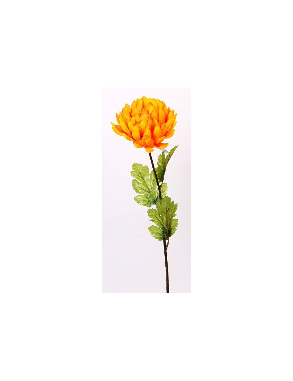 CHRYSANTHEME BOULE PM