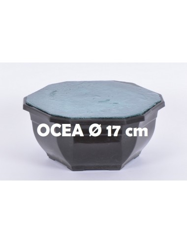 OCEA - 17 CM