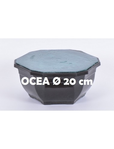 OCEA - 20 CM