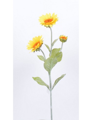 TOURNESOL