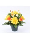 POT 12 DAHLIA BOUTON LILAC WHITE