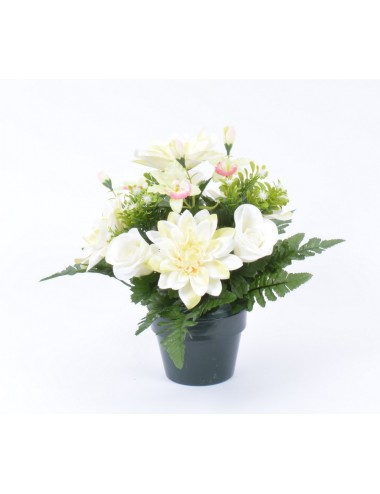 POT 12 DAHLIA BOUTON LILAC WHITE