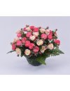 COUPE HORTICOLE 21 MINI ROSE