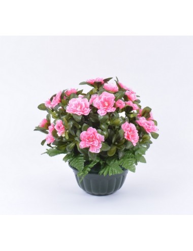 HORTICOLE 17 AZALEE DK PINK + FOUGERE