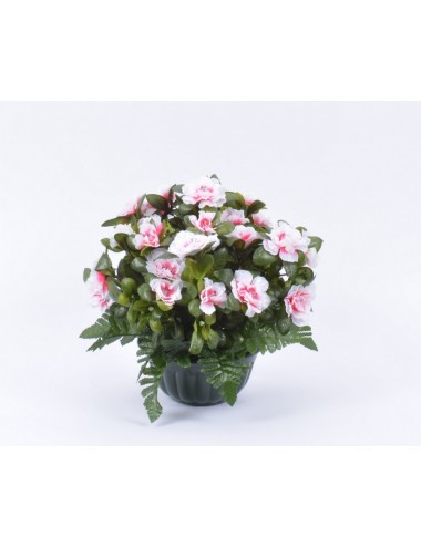 HORTICOLE 17 AZALEE DK PINK + FOUGERE