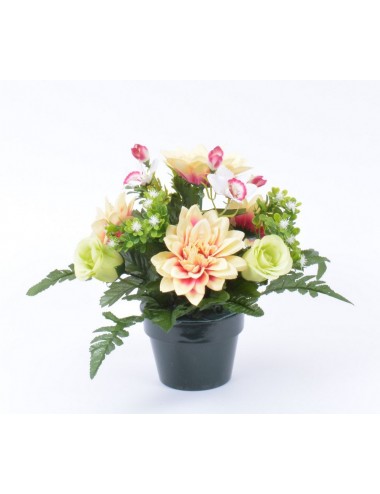 POT 12 DAHLIA BOUTON LILAC WHITE