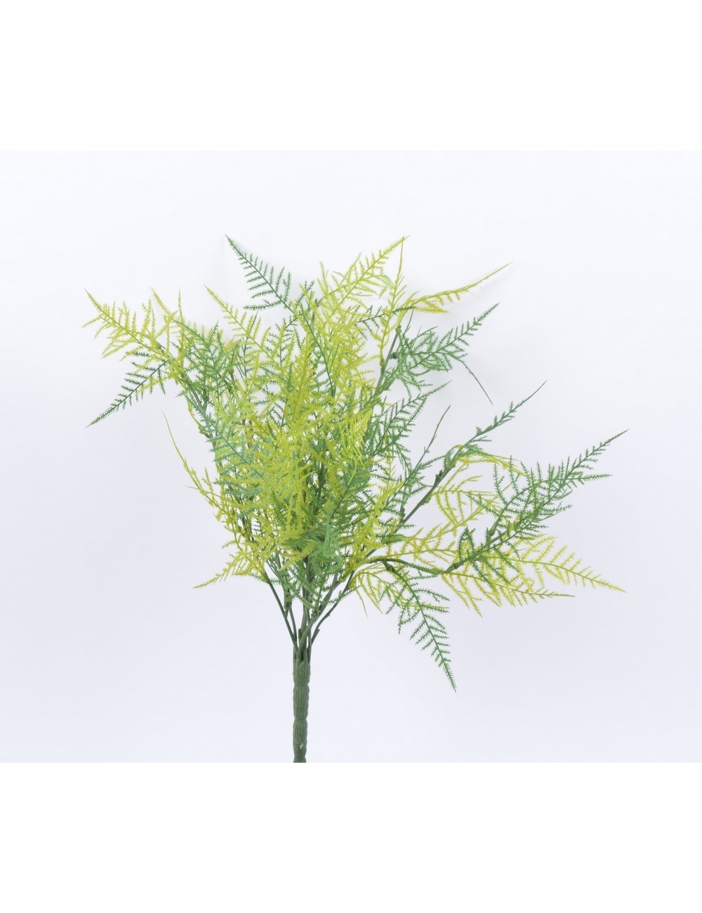 PIQUET ASPARAGUS X 9 PIQUET ASPARAGUS X 9