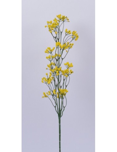 GYPSOPHILLE YELLOW