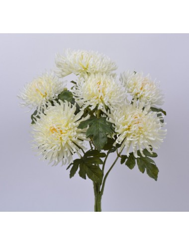 CHRYSANTHEME PLAT X 7 CREAM