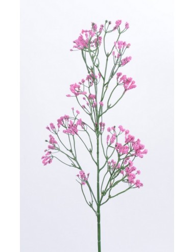 GYPSOPHILLE DARK PURPLE