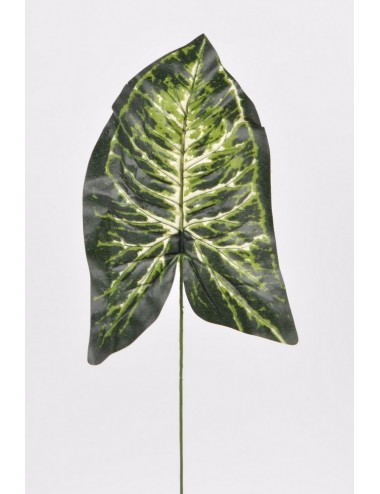 FEUILLE SYNGONIUM DK GREEN