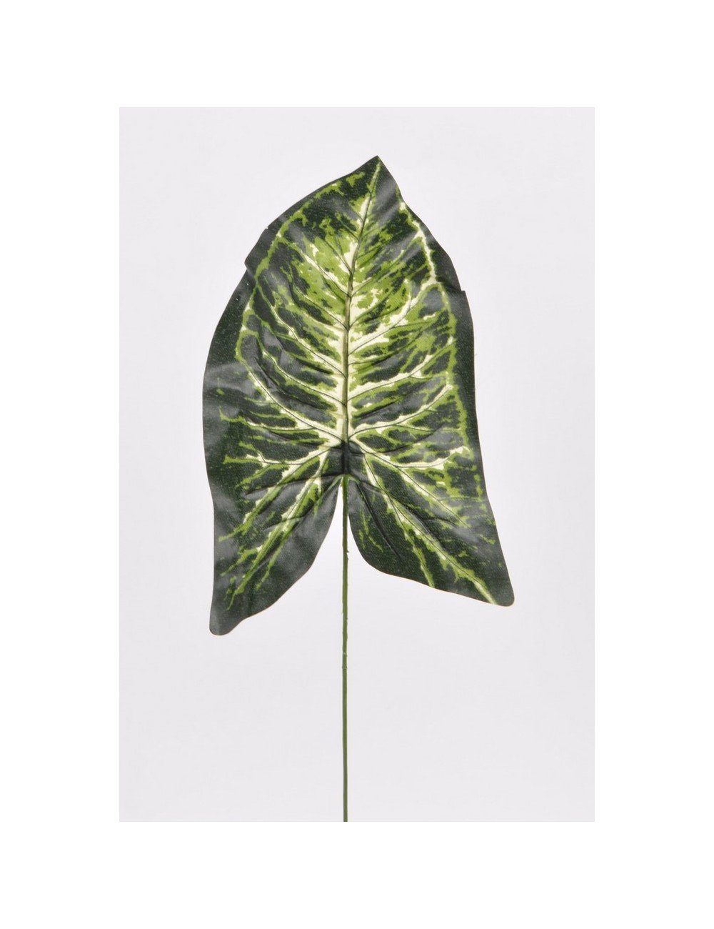 FEUILLE SYNGONIUM DK GREEN