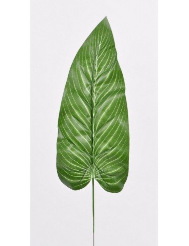 FEUILLE ANTHURIUM GREEN