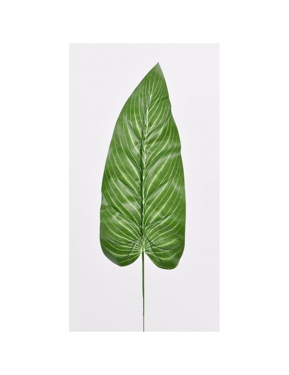 FEUILLE ANTHURIUM GREEN