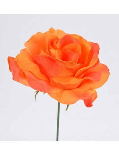 ROSE ORANGE