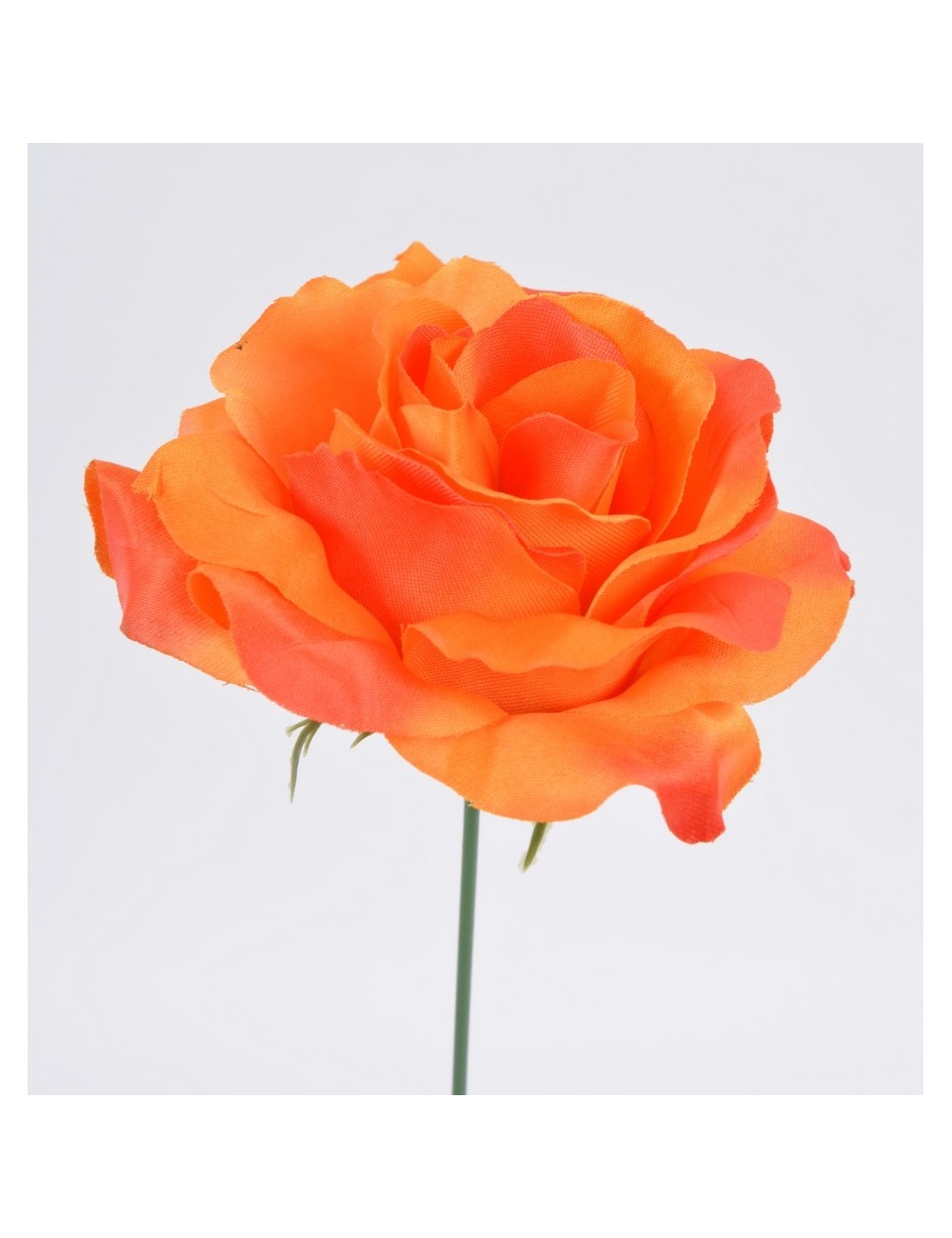 ROSE ORANGE