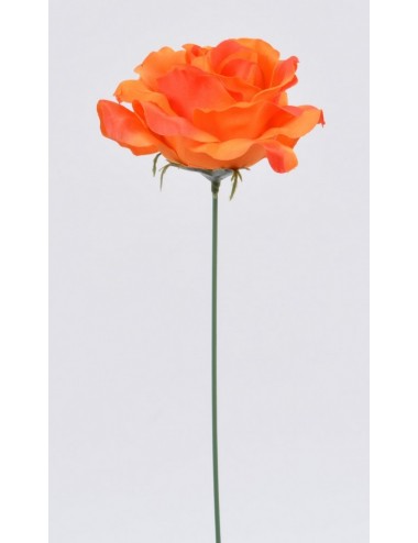 ROSE ORANGE