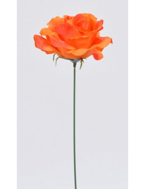 ROSE ORANGE