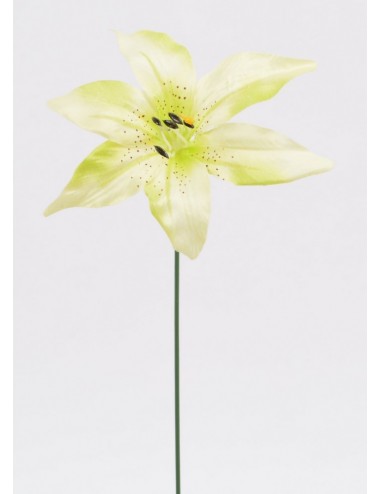 LILIUM TT GREEN