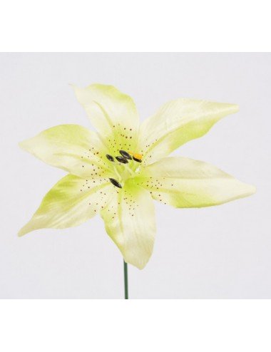 LILIUM TT GREEN