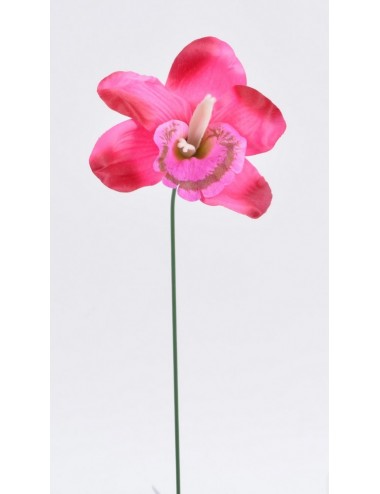 ORCHIDEE CREAM FUSCHIA