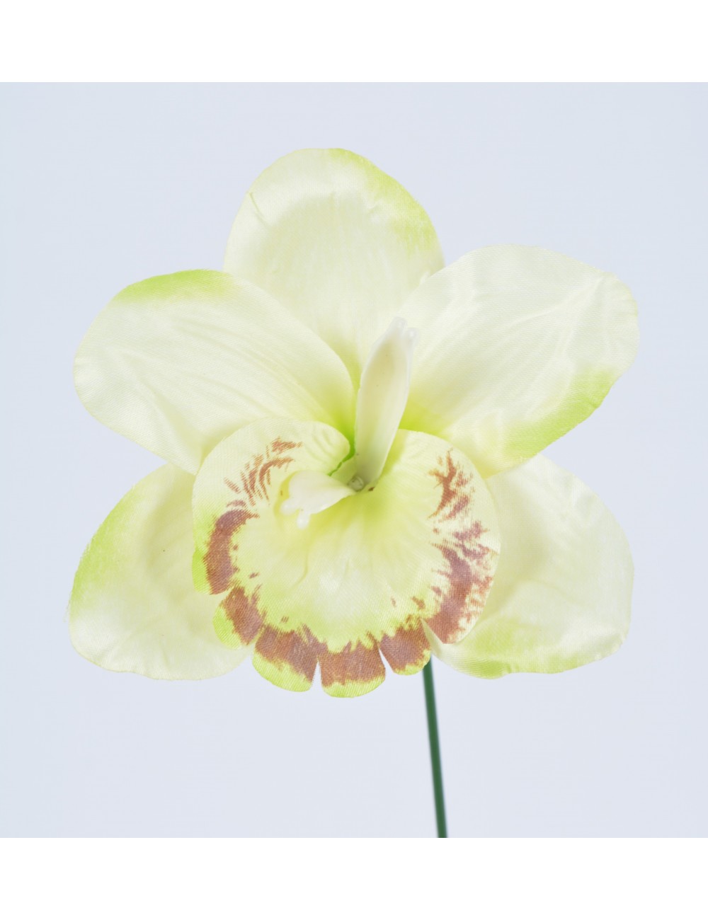 ORCHIDEE CREAM FUSCHIA ORCHIDEE CREAM FUSCHIA