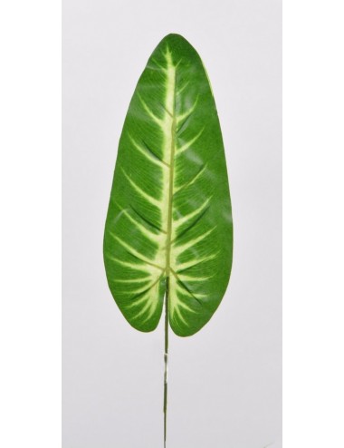 FEUILLE ANTHURIUM