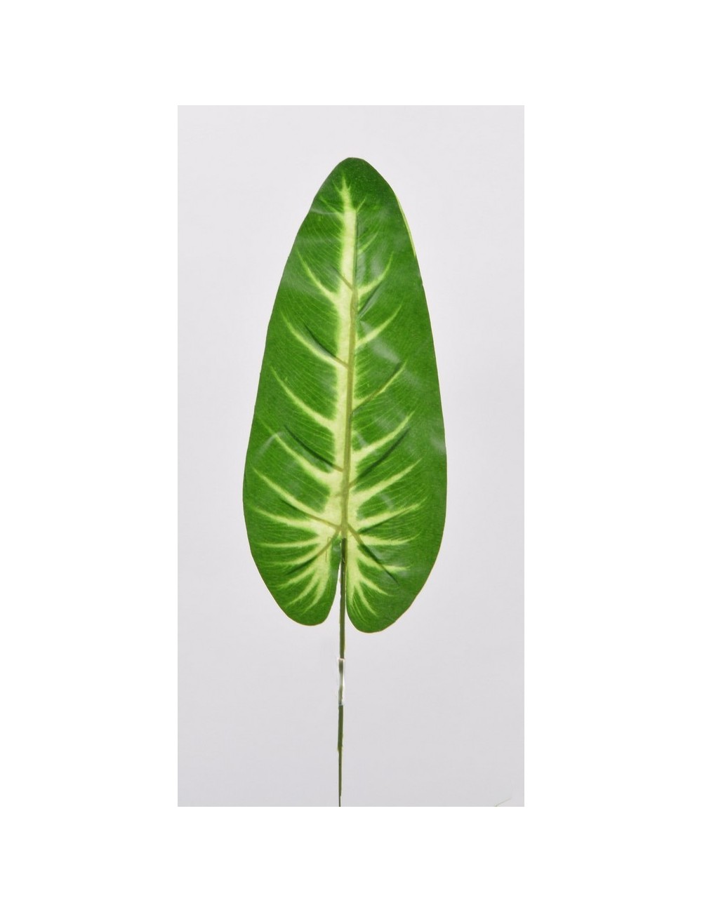 FEUILLE ANTHURIUM