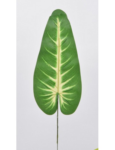 FEUILLE ANTHURIUM