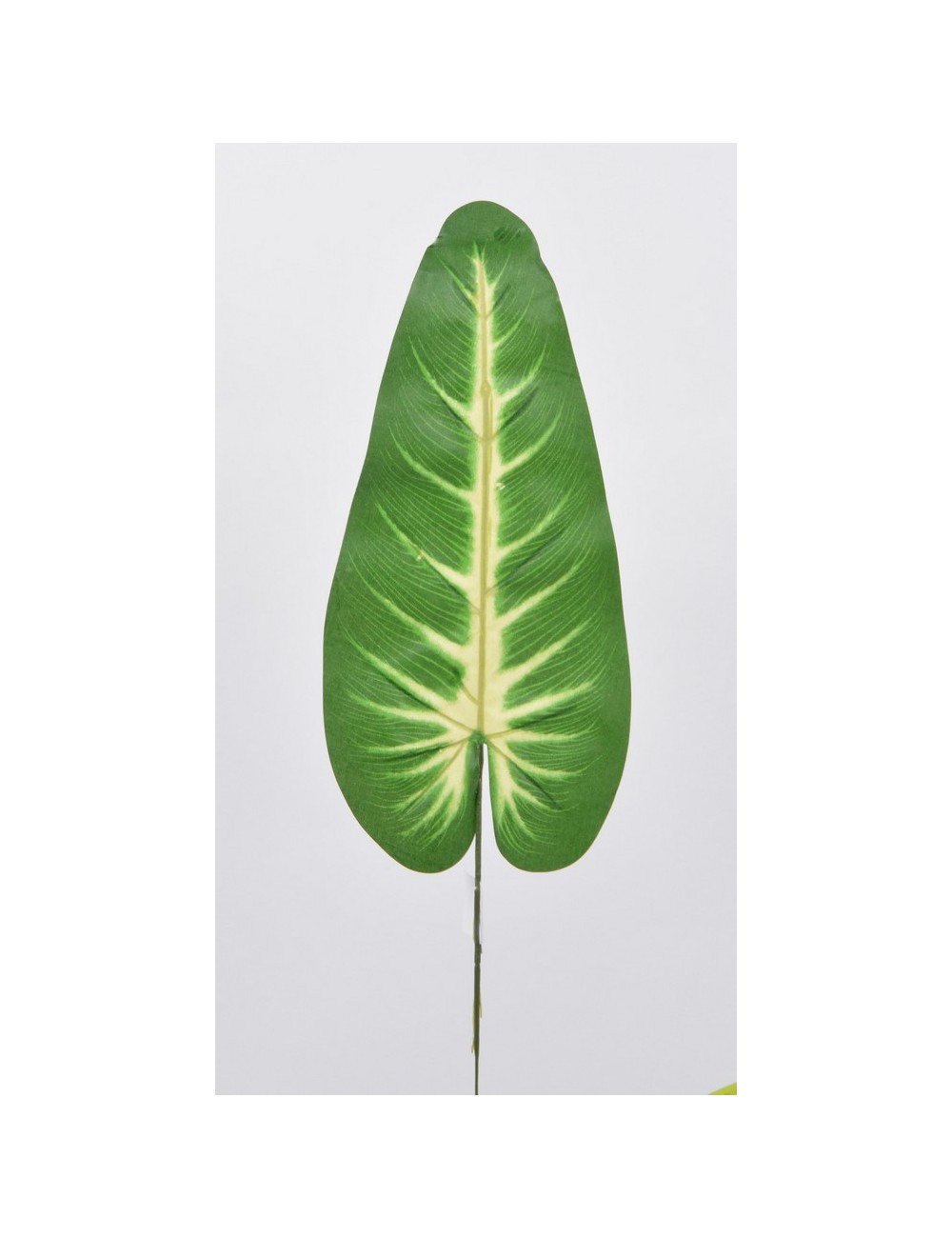 FEUILLE ANTHURIUM