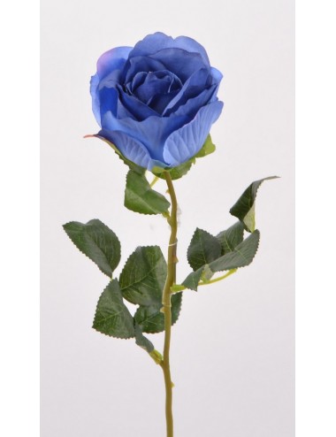 ROSE BLUE