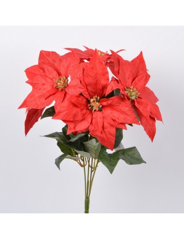 PIQUET DE POINSETTIA X