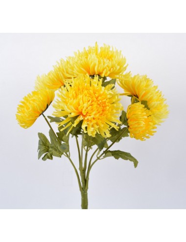 CHRYSANTHEME PLAT X 7 DK YELLOW