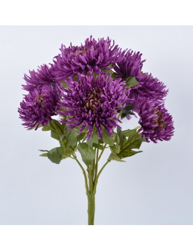 CHRYSANTHEME PLAT X 7 PURPLE