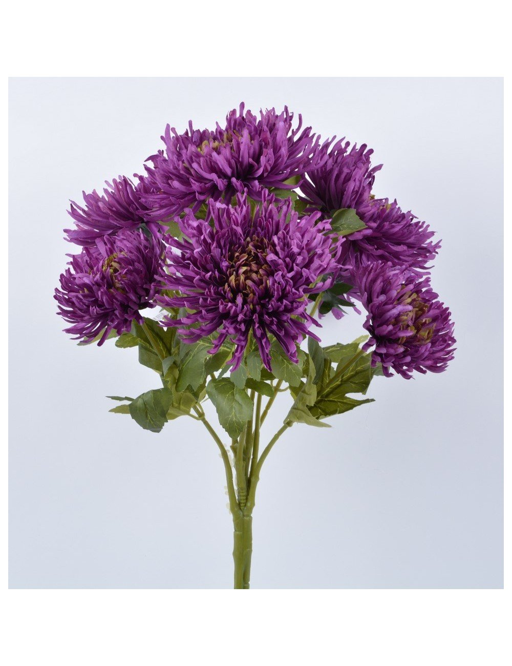 CHRYSANTHEME PLAT X 7 PURPLE