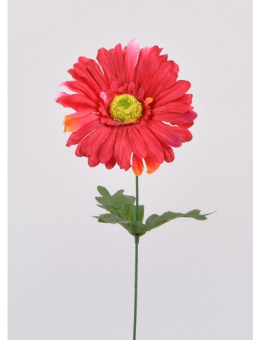 GERBERA RED