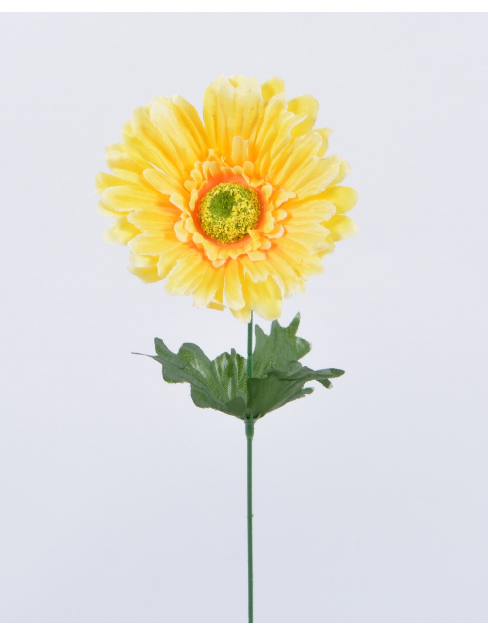 GERBERA YELLOW