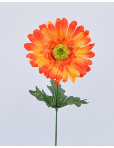 GERBERA ORANGE