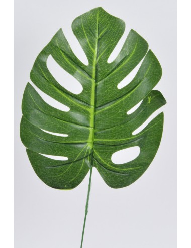 FEUILLE PHILODENDRON GREEN