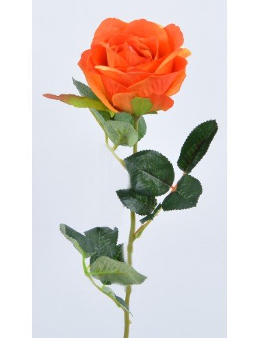 ROSE ORANGE