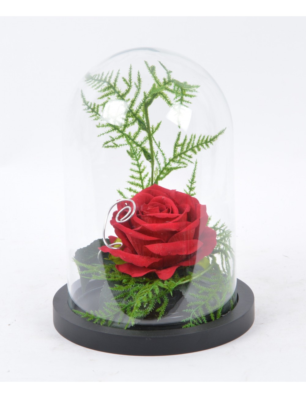 ROSE VELOUR SOUS CLOCHE DE VERRE ROUGE