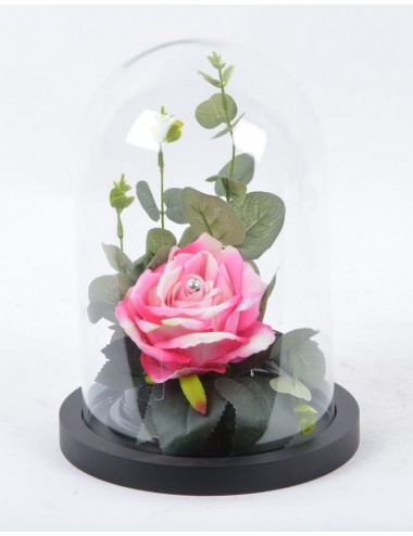 ROSE VELOUR SOUS CLOCHE DE VERRE + PERLE ROSE