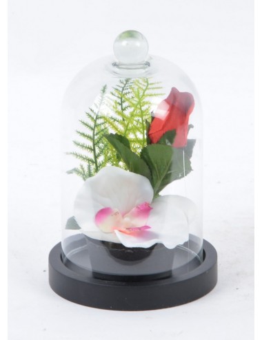 BOUTON DE ROSE + ORCHIDEE SOUS CLOCHE PM