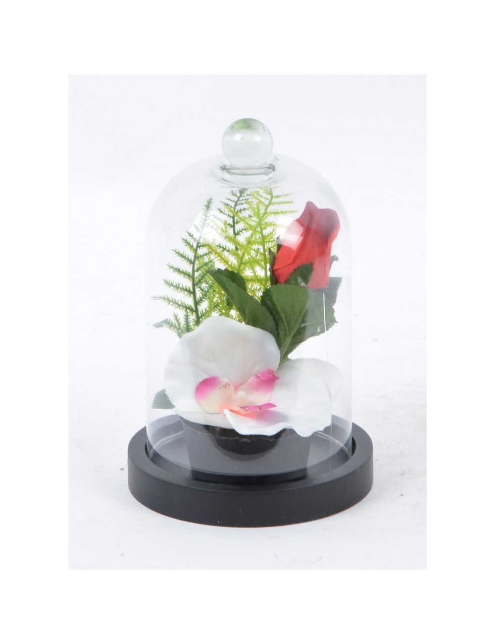 BOUTON DE ROSE + ORCHIDEE SOUS CLOCHE PM