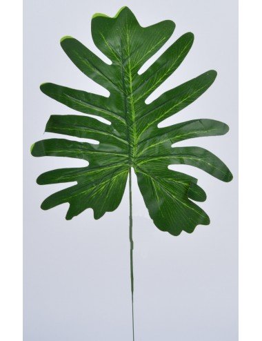 FEUILLE ARALIA VERT