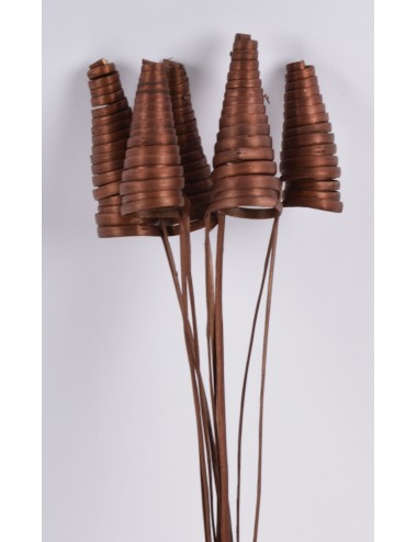 CANE CONE X10 BROWN